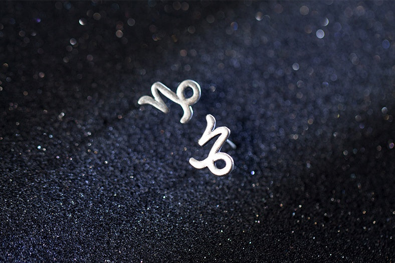 12 constellation earrings simple wishing earrings earrings