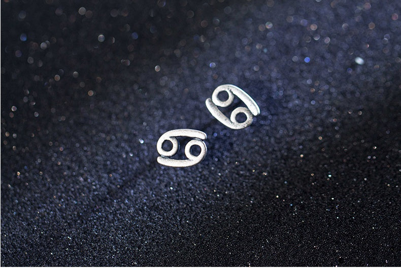 12 constellation earrings simple wishing earrings earrings