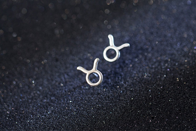 12 constellation earrings simple wishing earrings earrings